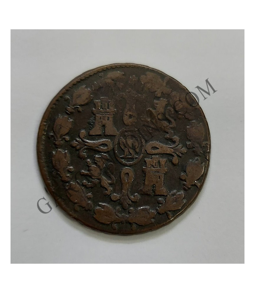 José Napoleón 8 Maravedies 1811 de Segovia MBC