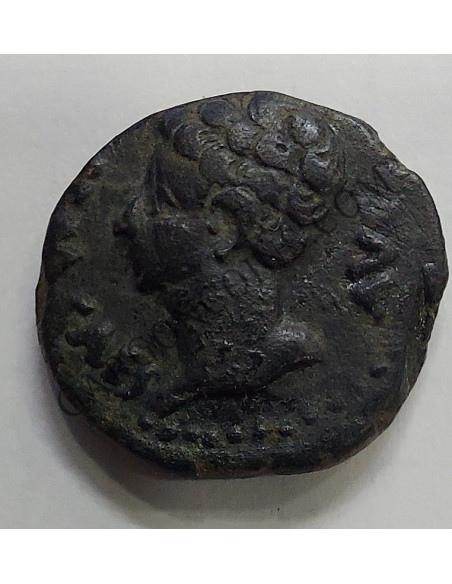 As de La Colonia Patricia AVG CAES MBC+