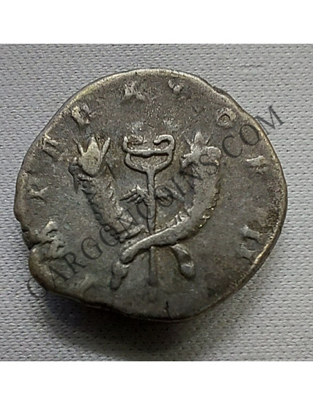 Denario de Antonino Pio (143)