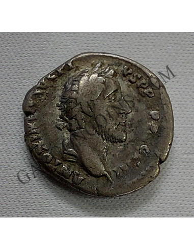Denario de Antonino Pio (143)