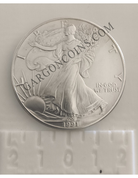 USA 1 Dolar 1991  onza Liberty 1991