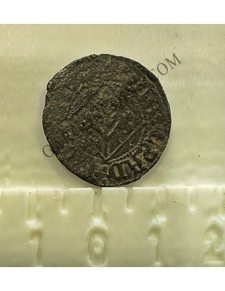 Lote de  3 Variantes  de la moneda de 1 Pugesa de  Lérida (Lleida) S. XVI Carlos I 