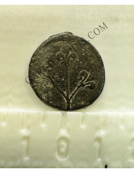 Lote de  3 Variantes  de la moneda de 1 Pugesa de  Lérida (Lleida) S. XVI Carlos I 