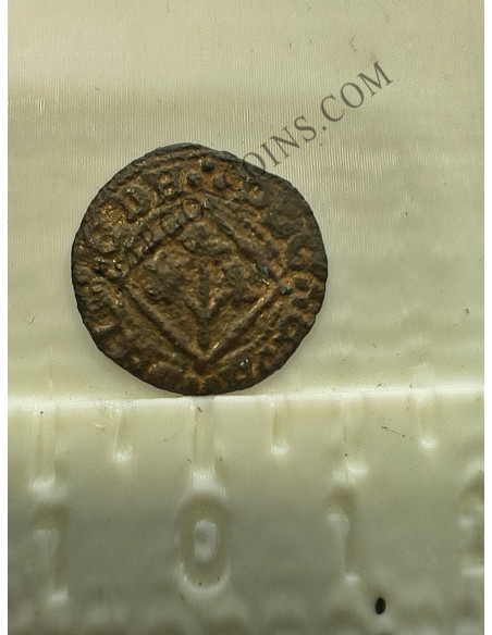 Lote de  3 Variantes  de la moneda de 1 Pugesa de  Lérida (Lleida) S. XVI Carlos I 