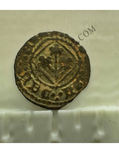 Lote de  3 Variantes  de la moneda de 1 Pugesa de  Lérida (Lleida) S. XVI Carlos I 