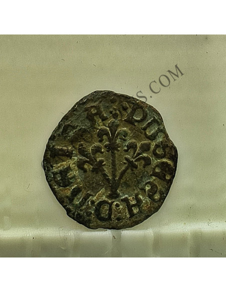 Lote de  3 Variantes  de la moneda de 1 Pugesa de  Lérida (Lleida) S. XVI Carlos I 