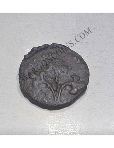 Media Pugesa Lleida Carlos I (1516-1558) - Escasa Moneda Local Cobre Lérida